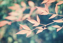 香港科技大学2026年度本科入学开放网上申请 计划通过高考招生300人