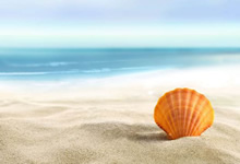 香港科技大学2026年度本科入学开放网上申请 计划通过高考招生300人