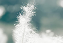 每天理赔994万元富德生命人寿为近24万客户送去理赔服务