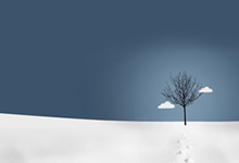 第十二届中国企业社会责任峰会 暨2019中国社会责任公益盛典即将在京举行