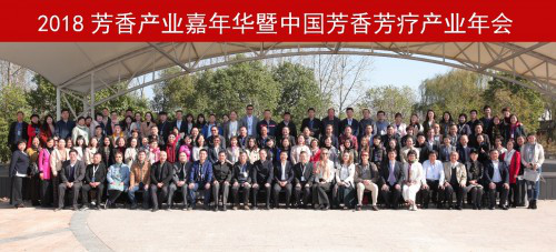 2018芳香产业嘉年华暨中国芳香芳疗产业年会成功召开 会议活动 第2张