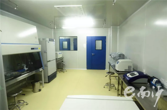 国内首个基因编辑治疗基地在南沙启动 广州资讯 第3张 国内首个基因编辑治疗基地在南沙启动 广州资讯 第3张