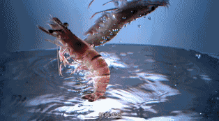 翻滚吧,咕噜噜沸腾的小火锅是我冬日里的信仰 食品餐饮 第9张 翻滚吧,咕噜噜沸腾的小火锅是我冬日里的信仰 食品餐饮 第9张