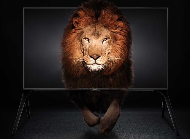 夏普8K体验车驶入五羊城，广东六城围观未来生活