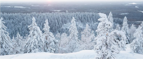 51重磅新品丨白桦汁水光润泽保湿两部曲面膜，荣耀上市！