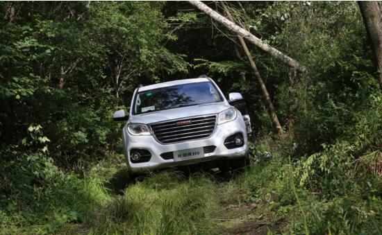 野外是主场,城里是秀场,哈弗H9告诉你什么叫自由切换 汽车频道 第4张 野外是主场,城里是秀场,哈弗H9告诉你什么叫自由切换 汽车频道 第4张