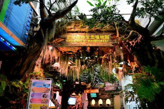 带娃解锁神秘热带雨林 近在正佳雨林生态植物园