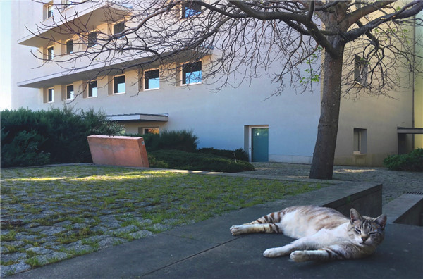 西扎锐驰空间隆重开幕 会议活动 第4张