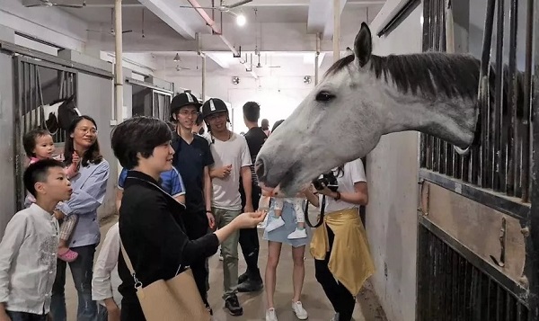当COLMO星图系列遇见马术联赛，一场与品质生活的邂逅即将上演 数码家电 第4张