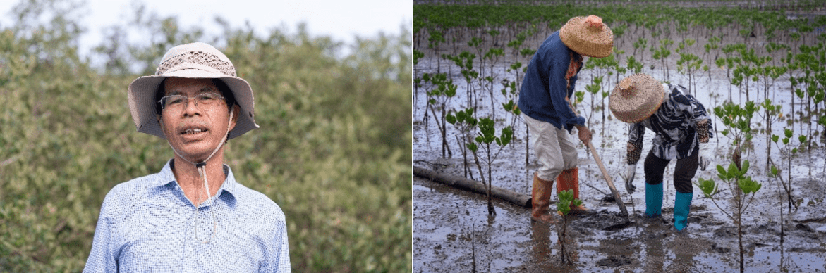 马爹利在中国启动红树林保护项目 新闻资讯 第6张