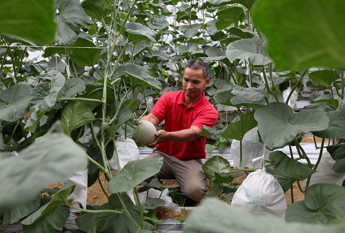 1634725607494671.png 喜看连樟村 今日面貌新 新闻资讯 第3张 喜看连樟村 今日面貌新 新闻资讯 第3张