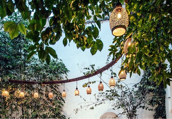 庭院品类爆火海外，年增长率20% 新闻资讯 第3张