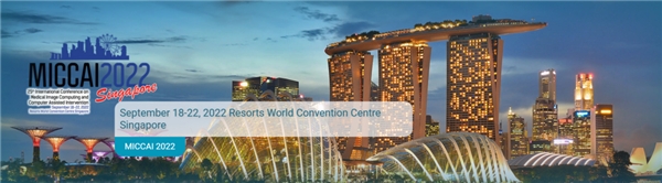 世界第一!推想包揽MICCAI 2022两大国际挑战赛冠军 新闻资讯 第1张 世界第一!推想包揽MICCAI 2022两大国际挑战赛冠军 新闻资讯 第1张