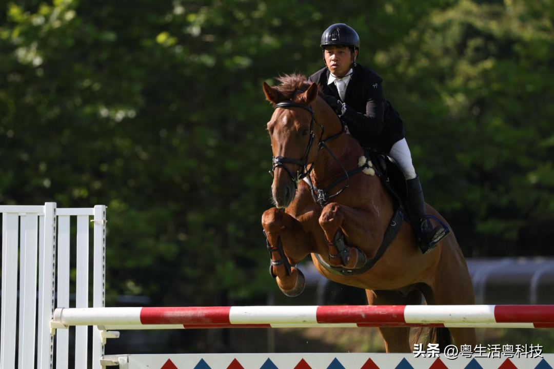 佳能全画幅专微相机EOS R6 Mark II新品发布 数码家电 第3张 佳能全画幅专微相机EOS R6 Mark II新品发布 数码家电 第3张