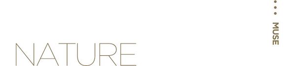 发现缪斯 | 缪斯降临,K11 MUSEA灵感发现之旅 新闻资讯 第8张 发现缪斯 | 缪斯降临,K11 MUSEA灵感发现之旅 新闻资讯 第8张