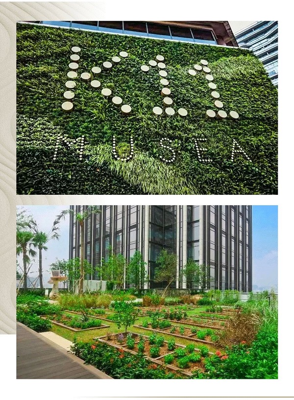 发现缪斯 | 全球百大创意力量，孵化前所未有文化体验 新闻资讯 第20张