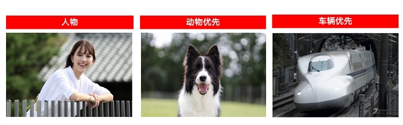 玩转Vlog 佳能推出全画幅专微相机EOS R8和RF24-50mm标准变焦镜头 国内资讯 第6张 玩转Vlog 佳能推出全画幅专微相机EOS R8和RF24-50mm标准变焦镜头 国内资讯 第6张