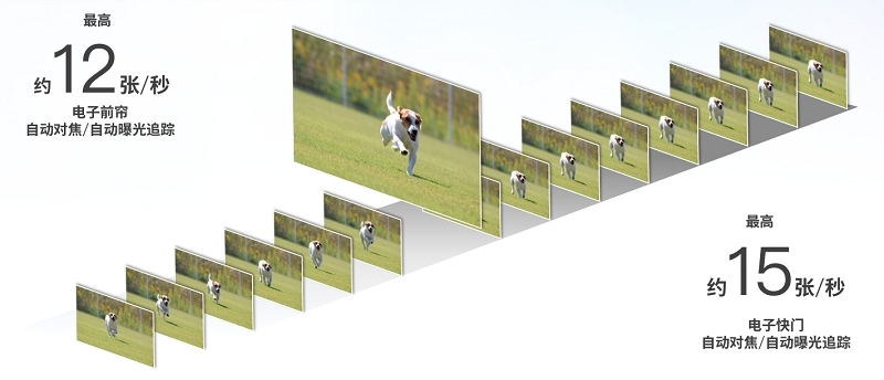 出游好拍档  佳能EOS R50新机发布,机身仅4599元! 数码家电 第10张 出游好拍档  佳能EOS R50新机发布,机身仅4599元! 数码家电 第10张