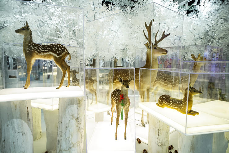 创新设计云集，人居美学盛会｜2022广州设计周开幕 展会快讯 第5张