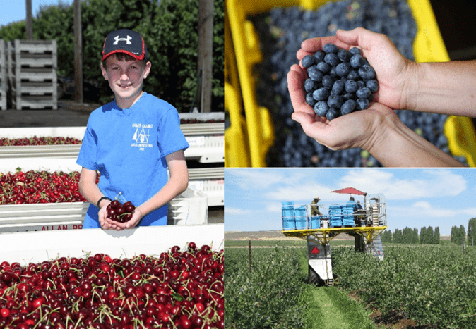 美国西部农业贸易代表团大湾区中国行活动圆满落幕 广东资讯 第9张