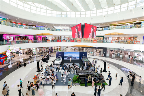 岚图双车上市品鉴会吸引海量车迷前往参观、试驾！ 新闻资讯 第1张