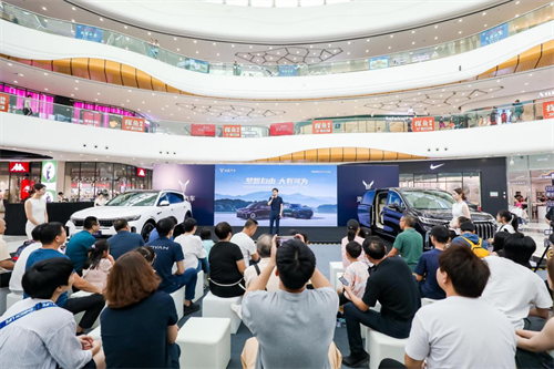 岚图双车上市品鉴会吸引海量车迷前往参观、试驾！ 新闻资讯 第9张