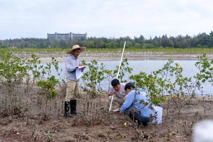 滨海生态再添新绿 各方聚力共护生物多样性 马爹利在琼粤两地同步启动红树林保护项目第三阶段工作 新闻资讯 第3张
