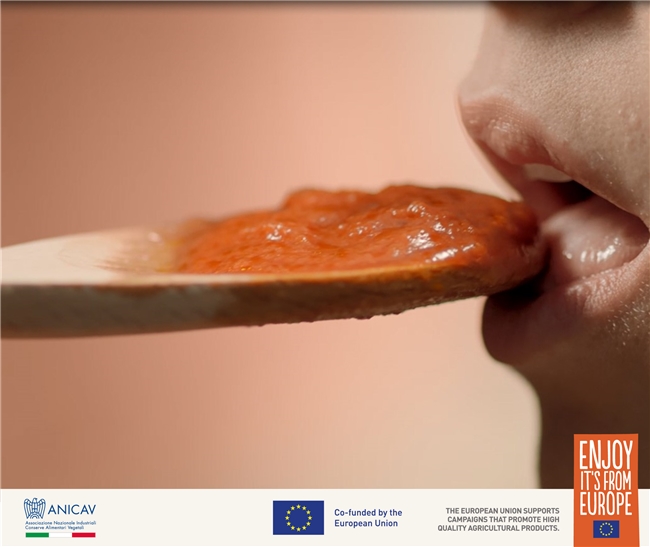 认真吃饭，用心生活｜欧洲红金西红柿的美味哲学 新闻资讯 第4张