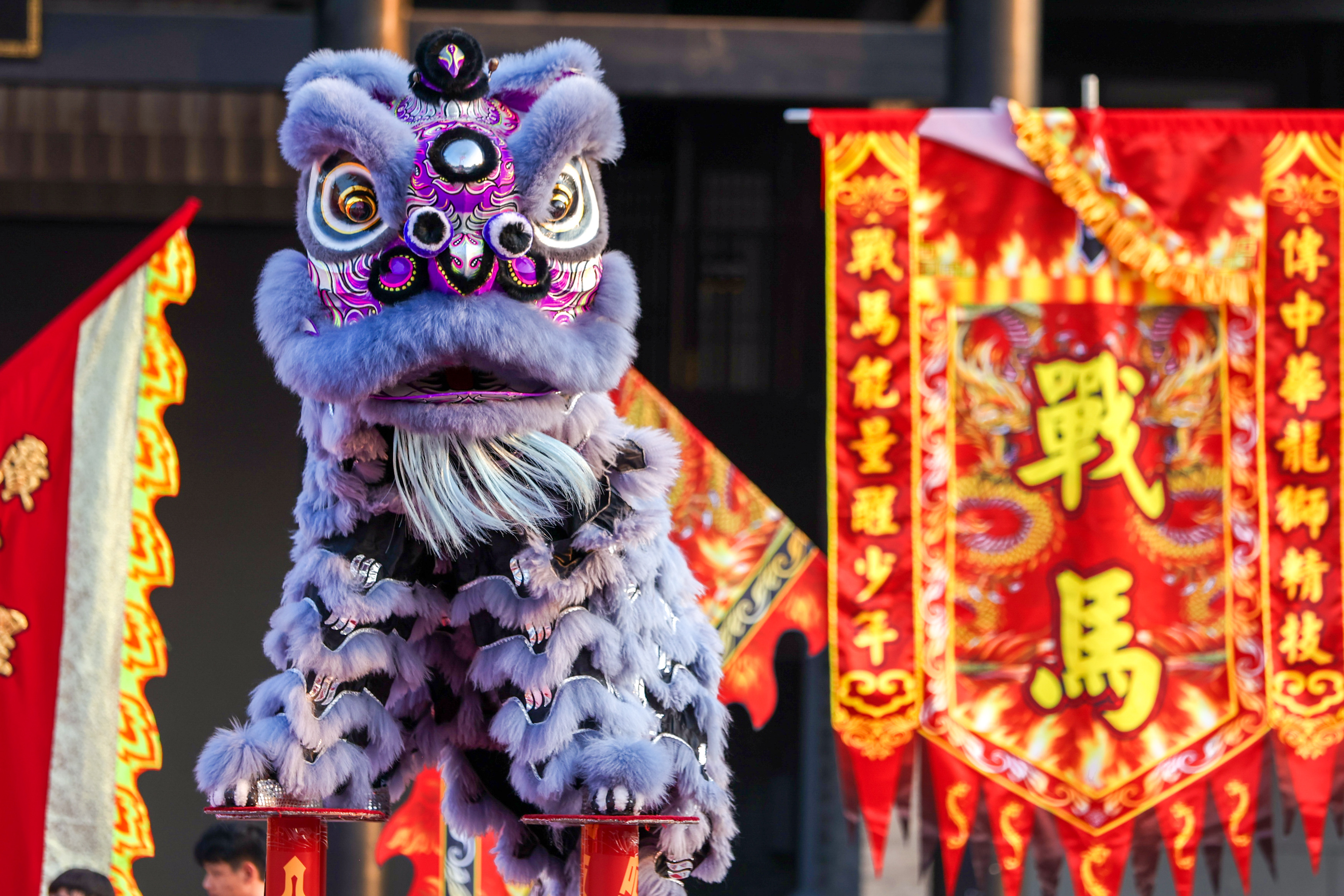 战马新装亮相第九届广州青少年醒狮表演赛 新闻资讯 第9张 战马新装亮相第九届广州青少年醒狮表演赛 新闻资讯 第9张