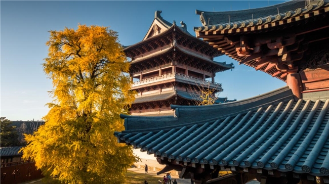 国庆打卡新地标:百种玩法乐享黄金周,浙江濮院秋日盛会邀您入画 新闻资讯 第9张 国庆打卡新地标:百种玩法乐享黄金周,浙江濮院秋日盛会邀您入画 新闻资讯 第9张