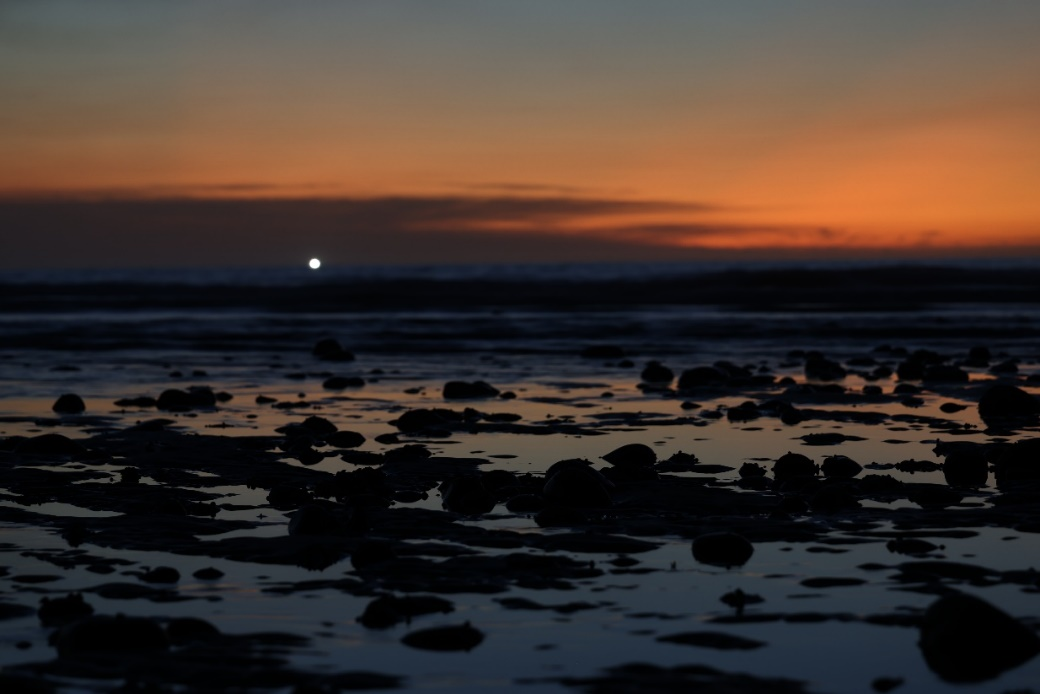 超越进化,佳能发布全画幅专微相机EOS R6 Mark III 国内资讯 第3张 超越进化,佳能发布全画幅专微相机EOS R6 Mark III 国内资讯 第3张