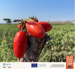 ​ 对抗寒冬，需要一点“红金”营养 新闻资讯 第2张