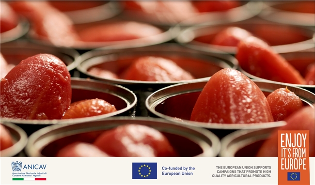 ​ 欧洲红金・臻藏番茄 年度推广盛典全纪实 新闻资讯 第6张