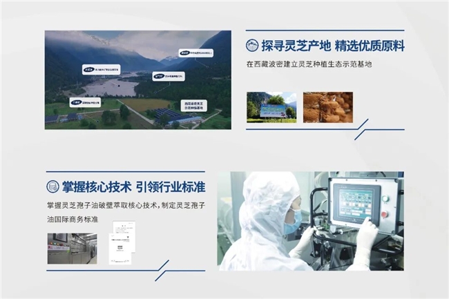 央视曝光"假洋货"后如何从“出身”选优质灵芝孢子油 健康养生 第3张 央视曝光"假洋货"后如何从“出身”选优质灵芝孢子油 健康养生 第3张