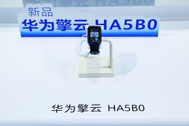 华为擎云亮相全民健康管理大会 以科技筑牢主动健康管理数字底座 健康养生 第4张
